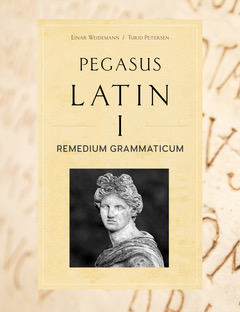 Pegasus Latin 1 Remedium Grammaticum