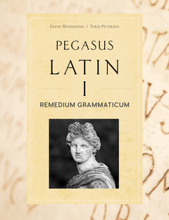 Pegasus Latin 1 Remedium Grammaticum